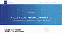 Desktop Screenshot of indigo-consult.com